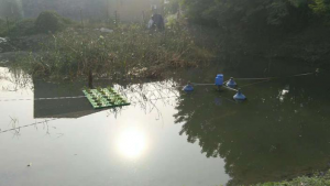 雄安新區安新縣二標段12號坑塘治理進度【重點納污坑塘綜合整治項目】
